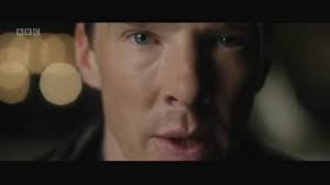 Fleur King (fleurrose)