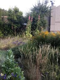 Check spelling or type a new query. Using California Native Grasses In Garden Design Green Benefit District