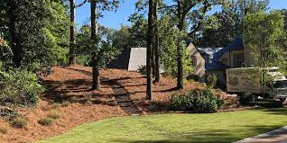 Pine Straw Is An Excellent Choice For Hillsides Pine Needle Mulch Garden Path Mulch Garden Paths Straw Mulch