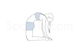Pin On Warm Up Cool Down