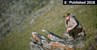 Vladimir putin has voiced his disagreement with the west's position on russia, which he likened to the latin proverb what is permissible for however, he said a bear won't ask anyone for permission. Even Bears Respect Putin New Russian State Tv Show Declares The New York Times