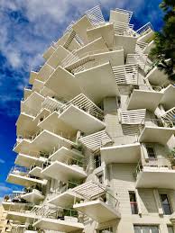 Arbre Blanc Montpellier En 2020 Arbres Blancs Beaux Batiments Montpellier