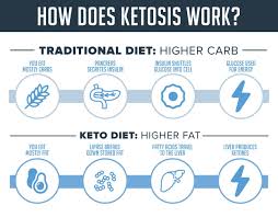Comprehensive list of the best sugar substitute for keto. How To Get Into Ketosis 6 Steps Backed By Science