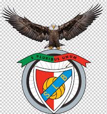Santos estupefacto com recusa de veríssimo. S L Benfica Estadio Da Luz Historia Do Sport Lisboa E Benfica Football Football Emblem Sport Bird Png Klipartz