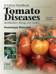 Prevention best practices and organic control solutions from our team at johnny's selected seeds. Tomato Diseases Identification Biology And Control A Colour Handbook Second Edition English Edition Ebook Blancard Dominique Laterrot Henri Marchoux Georges Candresse Thierry Amazon De Kindle Shop