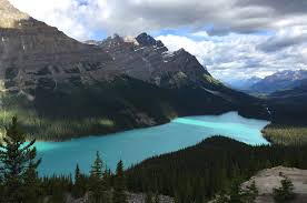 During his morning call with the media, colorado rockies manager bud black gave an update on two of his players who will start. 12 Fun Facts About The Canadian Rockies National Geographic Expeditions