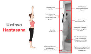 Healthy And Beautiful Yogi Vibe Activating The Arms In Urdhva Hastasana Learn Yoga Poses Thigh Muscles Lumbar Lordosis