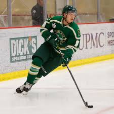 List of starting lineups colorado avalanche, ice hockey. Update Colorado Avalanche Prospect Sampo Ranta Reportedly To Join University Of Minnesota Mile High Hockey