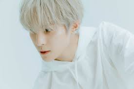 Sag kahlen wänden lebewohl und bring leben in dein zuhause oder büro. Pin On Wayv