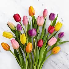 mixed tulip bouquet tulip bouquet flower arrangements flower delivery