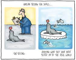 We urge students in year. Naplan Our Thoughts Preshil