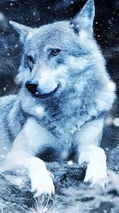 Hd wallpapers and background images. Download Wallpaper 720x1280 Wolf Photoshop Predator Wildlife Samsung Galaxy Mini S3 S5 Neo Alpha Sony Xperia Compact Z1 Z2 Z3 Asus Zenfone Hd Background