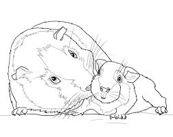 If you're more dedicated thus, i'l d explain to you a number of photograph again underneath: Mother And Baby Guinea Pig Coloring Page Free Printable Coloring Pages For Kids