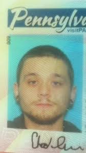 Cody Korb's Instagram, Twitter & Facebook