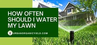 This helps you have even coverage over the entire lawn. How Often Should I Water My Lawn With Sprinkler System