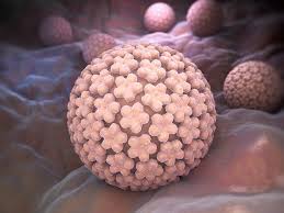 Hpv papilloma virus, ecco come curarlo in modo naturale. Quais Tipos De Hpv Mais Perigosos Podem Causar Cancer