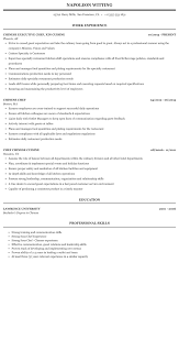 Thinking of the perfect skills for the culinary field can be tough. Chinese Chef Resume Sample Mintresume