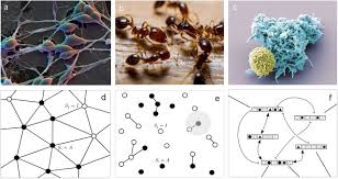 Take control of your data. Statistical Physics Of Liquid Brains Biorxiv