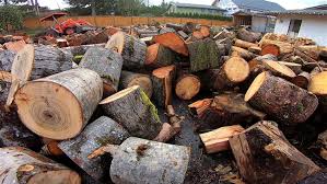 At east coast firewood, our firewood is prepared by forestry experts. Washington Man Gives Away Free Firewood To Families In Need