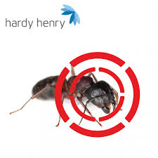 Starting a pest control business is huge. Pest Control Service Lacase Mu
