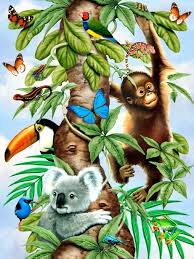 Image Gallery Animals Wild Baby Jungle Animals Animal Shirts