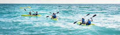 His goal was to provide the best boat rental miami had to offer as well a great charters & sightseeing tours of miami. Kayaks Fontainebleau Miami Beach