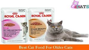 Best Cat Food For Older Cats And What Is The Proper Diet For Older Cats Best Cat Food Wet Cat Food Dry Cat Food