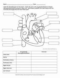 Image Result For The Biology Coloring Book Pdf Human Body Worksheets Heart Diagram Human Body Systems