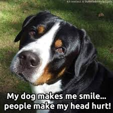 Pin On Dogs And Cats Funny Sweet Inspiring Love