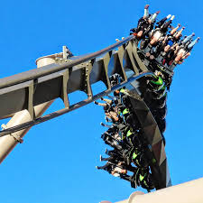 Image result for Grona