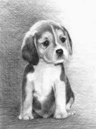 Bunny small plush rabbit stuffed animal toy handmade realistic animals soft toy rabbit from eco fur made to order. Cute Doodles Unicorn Art Illustrations Amizades Mundorosa Ilhadogovernador Acfotografi Realistic Animal Drawings Charcoal Drawing Animals Cute Dog Drawing