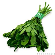 Ginseng tumbuh di wilayah belahan bumi utara terutama di siberia yaitu siberian ginseng, manchuria, korea yaitu korean ginseng, dan. Cara Mengolah Daun Ginseng Ur Farm Id