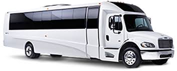 Image result for Bussea