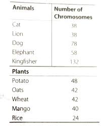 We did not find results for: From The Internet Gather Information About The Chromosome Numbers Of Five Animals And Five Plants Correlate The Number With The Size Of Organism And Answer The Following Questions A Do Larger Organisms