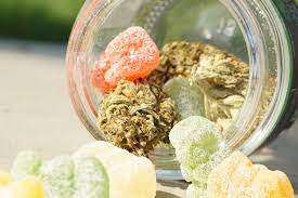can i give my dog a human cbd gummy