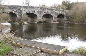 Quoile ( i̇rlandalı an caol 'dar'), county down'da bir nehirdir , kuzey i̇rlanda. Quoile Coarse Fishery Can Be Revived Down News