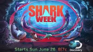 Sep 13, 2021 · download hungry shark mod from mod apk. Hungry Shark Evolution V4 1 0 Apk Mod Full Dinero Ilimitado Paperblog