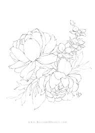 Different kinds of flowers drawing. Flower Drawings Spring 2019 Blushed Design