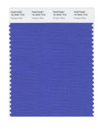Buy Pantone Smart Swatch 18 3945 Amparo Blue Pantone Blue Clematis Blue Accents