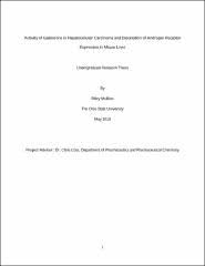 A history of the present on the sportsman and the sportswoman. Browsing Pharmacy Undergraduate Research Theses And Honors Research Theses By Title