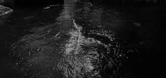 Bildergebnis für Maria Laet