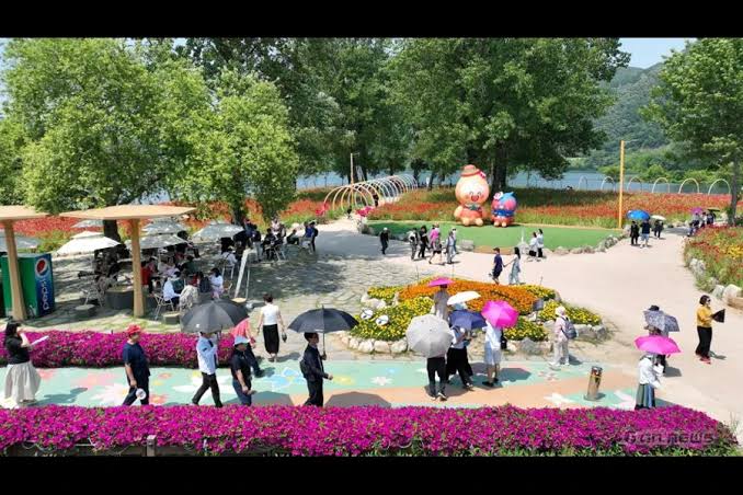 Colorful Garden 자라섬 꽃 페스타 照片 7