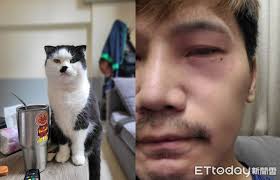 奴才幫擠肛門腺「慘挨貓貓拳」痛爆千人見黑輪笑噴：打完長好像| ETtoday寵物雲| ETtoday新聞雲