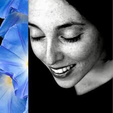 Flower Catalog Lookbook by Stephanie Ann Boyd