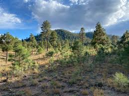 Any suggestions for hiking in Flagstaff area? : rhiking