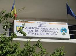 Constructii, depozite, fabrici, hoteluri, curatenie. 3006 Persoane Angajate Prin Intermediul AgenÈ›iei JudeÈ›ene Pentru Ocuparea ForÈ›ei De MuncÄƒ Satu Mare In Primele 8 Luni Ale Anului 2020 Buletin De Carei