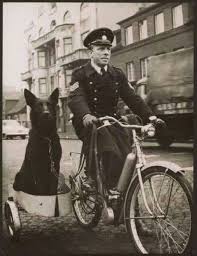 Time To Bring Back The Canine Patrols In Every City And Town Vintage Dog Retro Dog Work With Animals