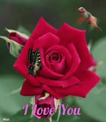 My initial experience was wowing my new girlfriend at the time with a floral arrangement delivered to her work. Ilove You My Love Gif Iloveyou Love Mylove Discover Share Gifs Love Gif Love You Dont Love Me