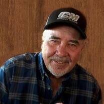 Michael "Mike" Lamb Obituary