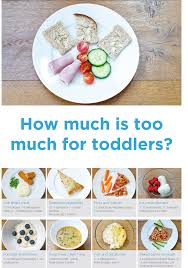 Portion Sizes For Toddlers In 2019 Food Portion Sizes